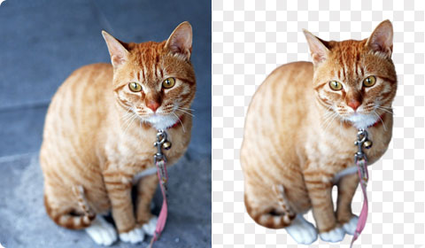 remove background hd quality free download